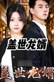 盖世龙婿 封面