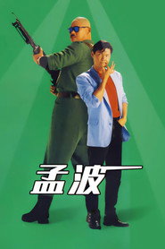 孟波 封面