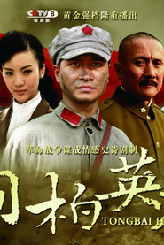 桐柏英雄 封面