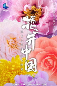花开中国 封面