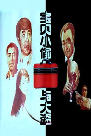 宝贝小偷与大盗 封面