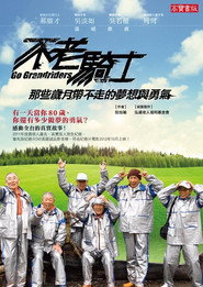 不老骑士：欧兜迈环台日记 封面