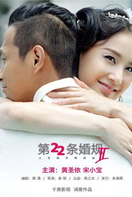 第22条婚规2 封面
