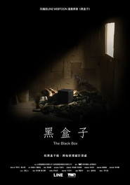 黑盒子 封面