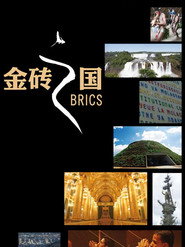 金砖之国 封面