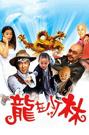 龙在少林 封面