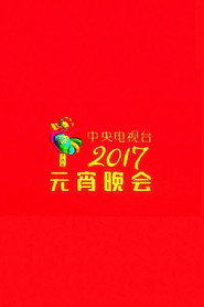 2017年中央电视台元宵晚会 封面