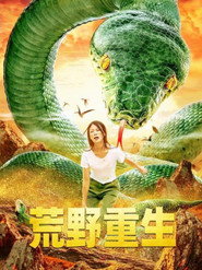 荒野重生 封面
