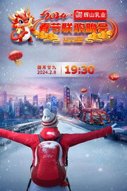 辽宁卫视春节联欢晚会 封面