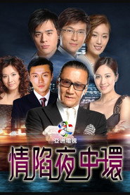 情陷夜中环 封面
