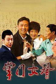 掌门女婿 封面
