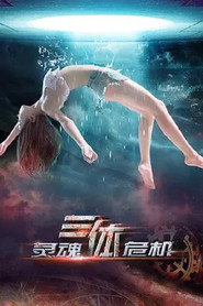 三体之灵魂危机 封面