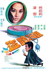 钻石艳盗 封面