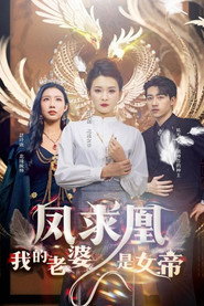 凤求凰我的老婆是女帝 封面