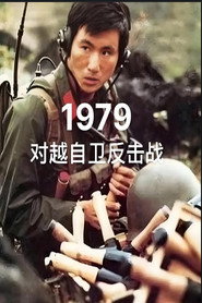 对越自卫反击战 封面