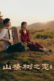 山楂树之恋 封面