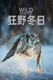 狂野冬日 封面