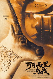 可可西里与我 封面