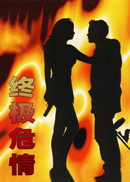 Final Target 封面