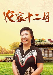 农家十二月 封面