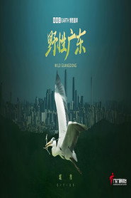 野性广东 封面