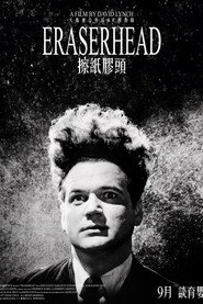橡皮头 封面