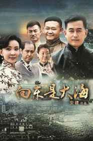 向东是大海 封面