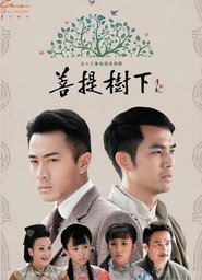 菩提树下 封面