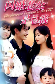 闪婚老公是亿万总裁 封面