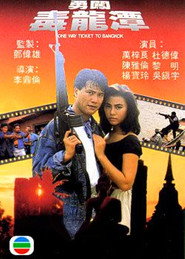 勇闯毒龙潭 封面