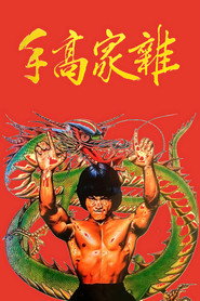 杂家高手 封面