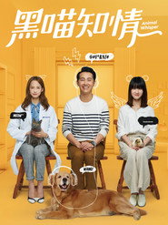 黑喵知情 封面