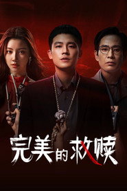 完美的救赎 封面