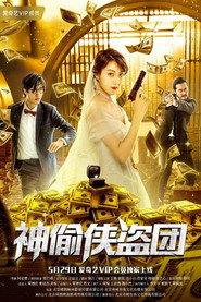 神偷侠盗团 封面