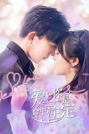 爱上你是命中注定 封面
