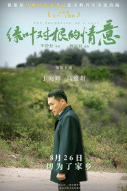 绿叶对根的情意 封面