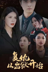 复仇从出狱开始 封面