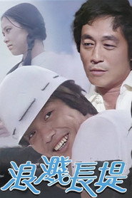 浪溅长堤 封面