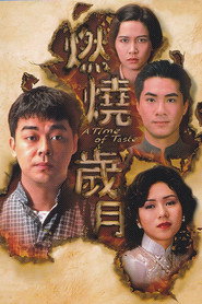 燃烧岁月 封面