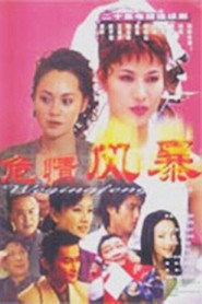 危情风暴 封面