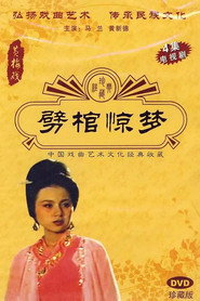劈棺惊梦 封面