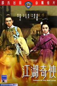 江湖奇侠 封面