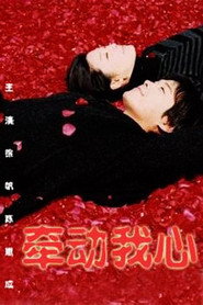 牵动我心 封面