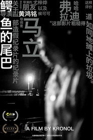 鳄鱼的尾巴 封面