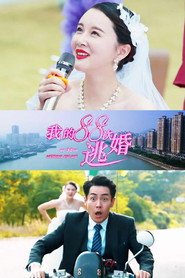 我的88次逃婚 封面
