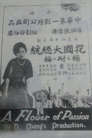 花國大總統 封面