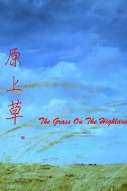 原上草 封面