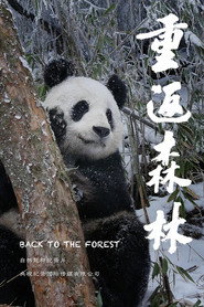 重返森林 封面