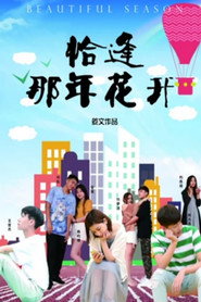 恰逢那年花开 封面