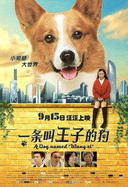 一条叫王子的狗 封面